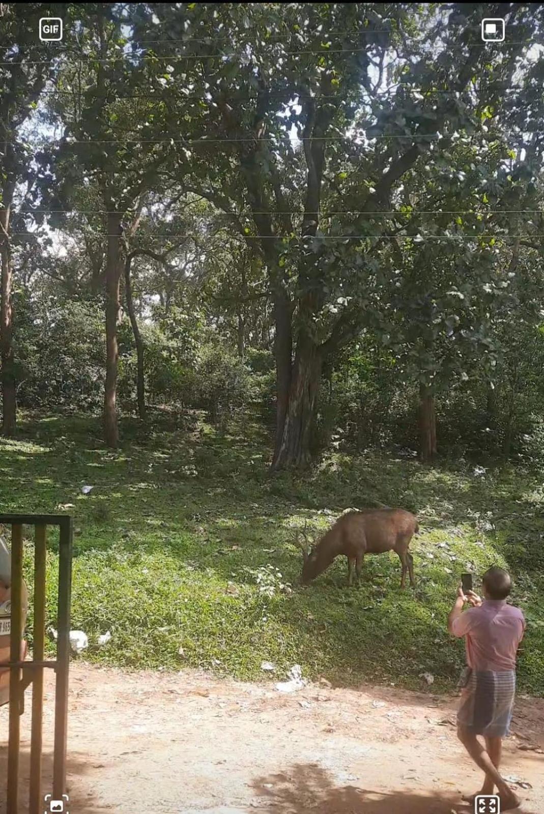 Wild Window - Forest View Homestay Thekkady Extérieur photo