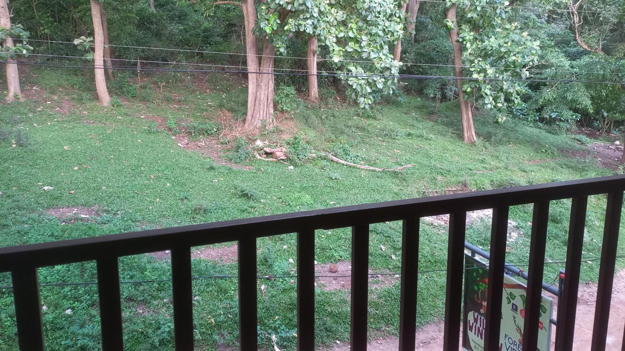 Wild Window - Forest View Homestay Thekkady Extérieur photo
