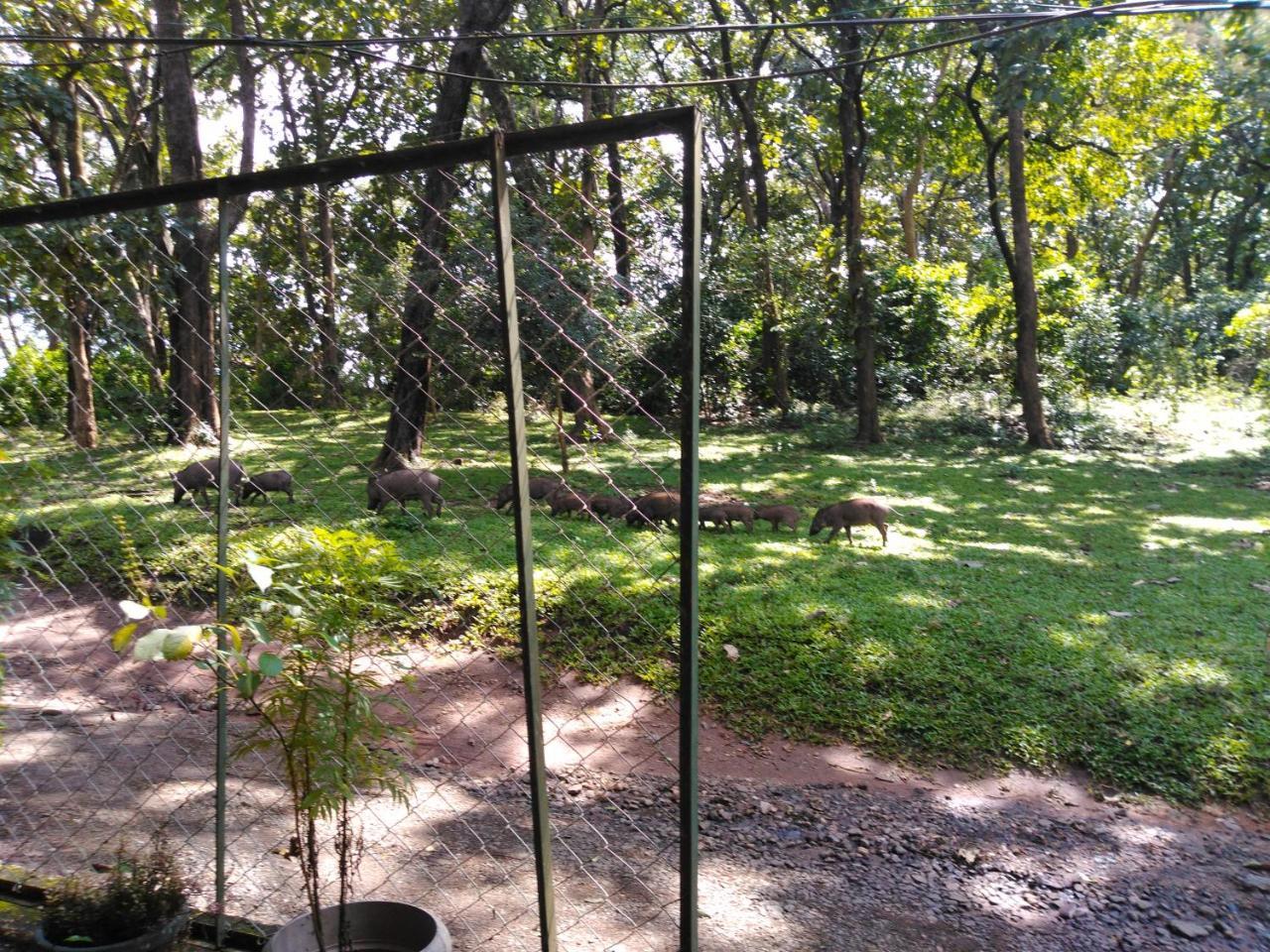 Wild Window - Forest View Homestay Thekkady Extérieur photo